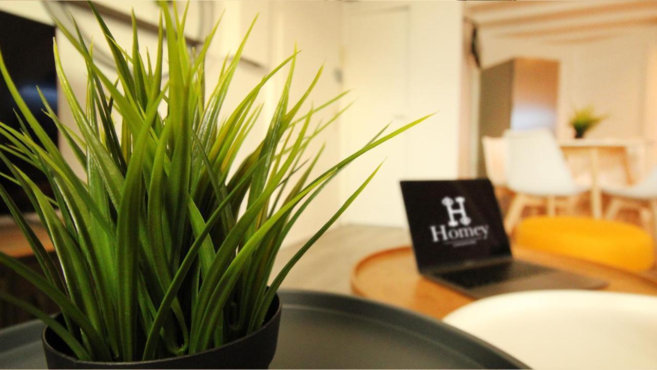 Homey Bella - New / Duplex / Downtown / Close Geneva Аннемас Экстерьер фото